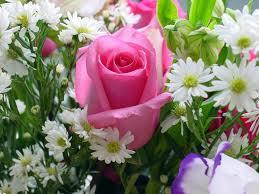 انتصاب آقای دکتر یاوری