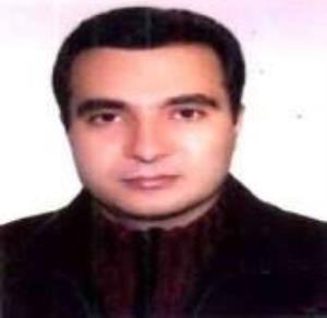 برترین ارائه دهنده مقاله 