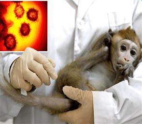 دستورالعمل و راهنمای بالینی، تشخیص، درمان و مراقبت بیماری آبله میمونی