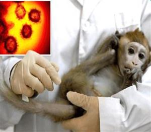 دستورالعمل و راهنمای بالینی، تشخیص، درمان و مراقبت بیماری آبله میمونی