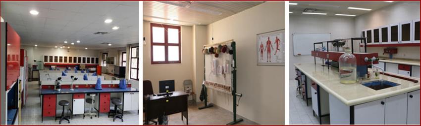 اسلایدر 1